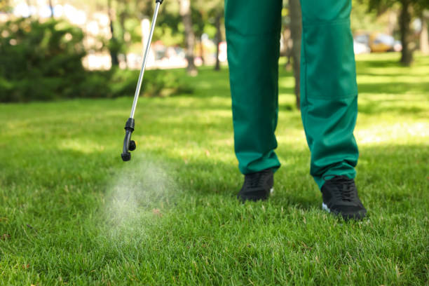 Best Bed Bug Extermination  in Kennedale, TX