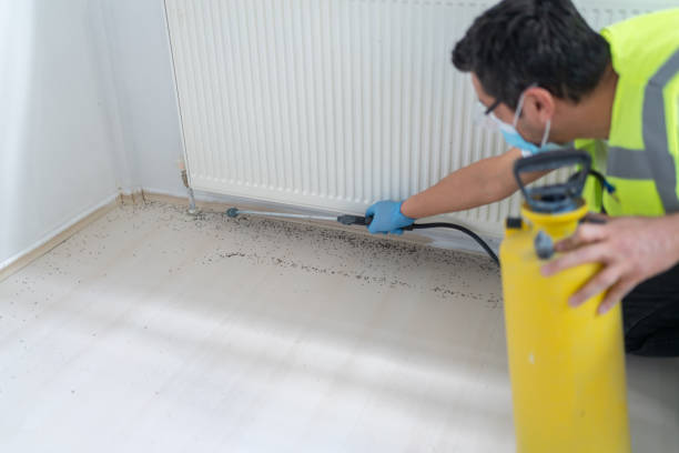 Best Insect Control  in Kennedale, TX