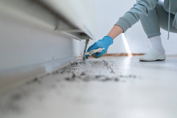 Best Mosquito Control Services  in Kennedale, TX